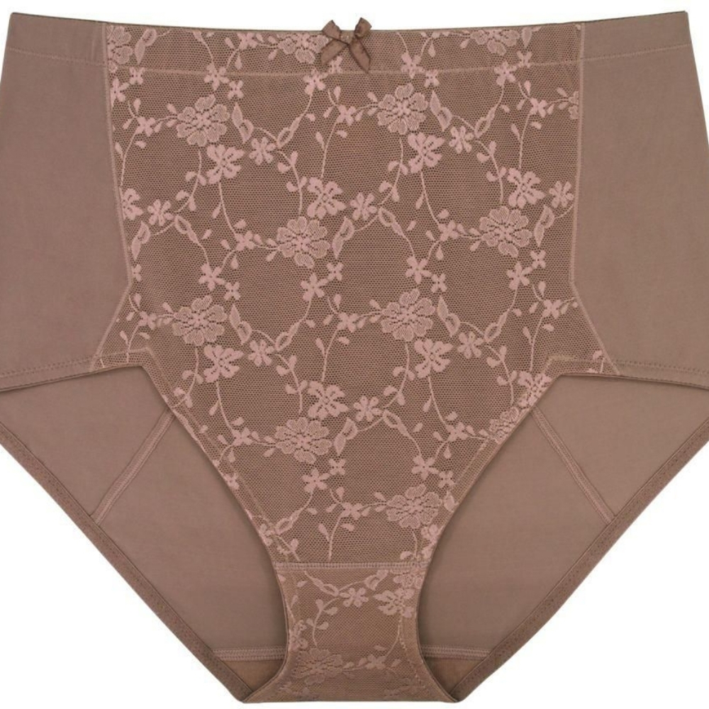 DORINA control briefs